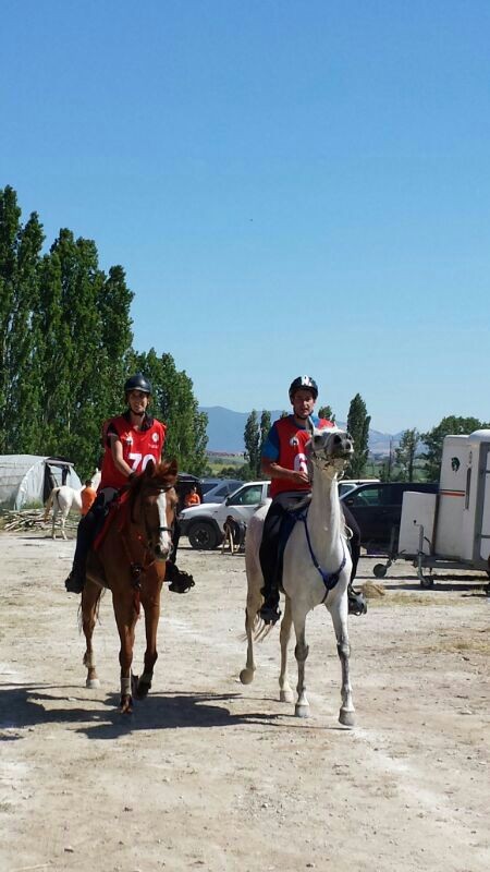 Clasificación I Edición Raid CEN*, CEN 0* y Promoción celebrados en Añézcar el pasado día 17 de mayo